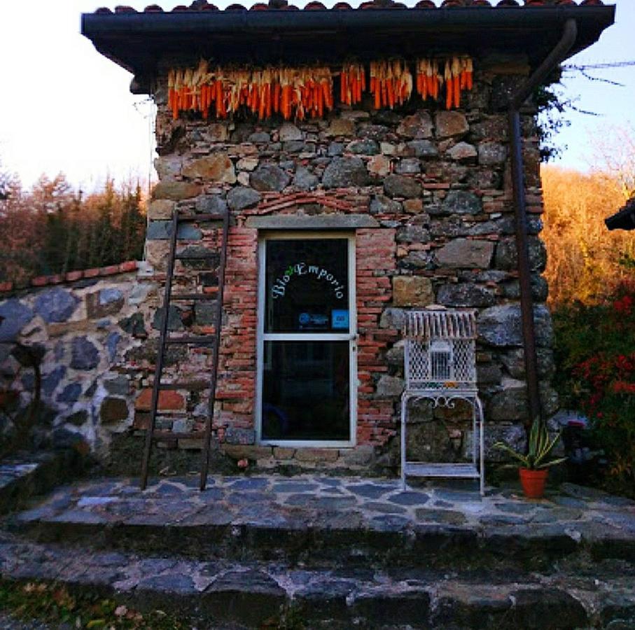 Agriturismo Paneolio Villa Collemandina Eksteriør bilde