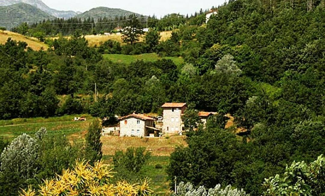 Agriturismo Paneolio Villa Collemandina Eksteriør bilde