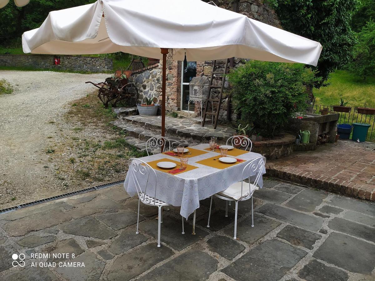 Agriturismo Paneolio Villa Collemandina Eksteriør bilde