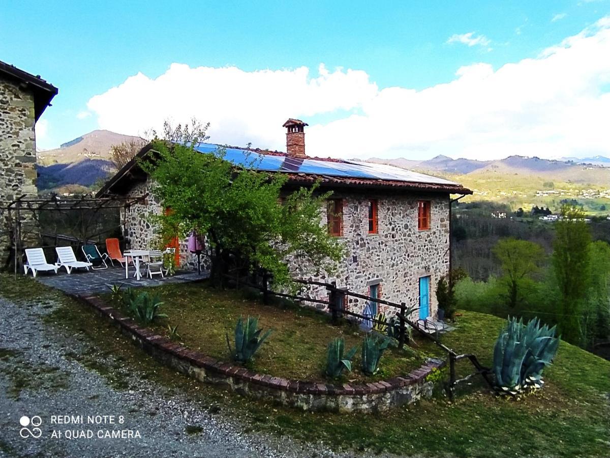 Agriturismo Paneolio Villa Collemandina Eksteriør bilde